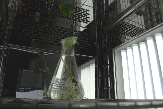 Laboratorio Colegio