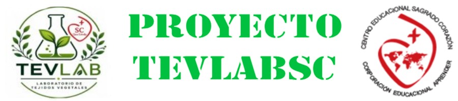 Proyecto Tevlab